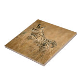 Carreau Serval (Leptailurus Serval) en train de sauter (Côté)