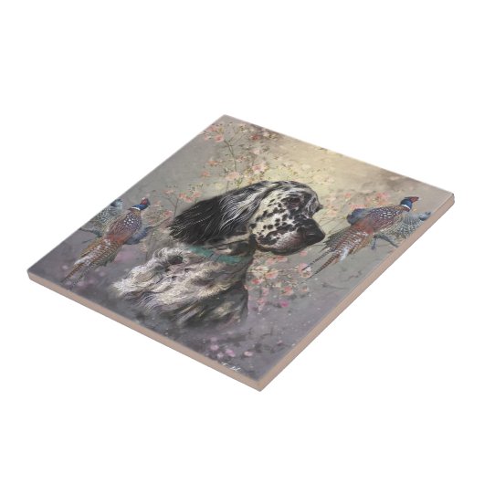 Carreau Setter anglais (Côté)