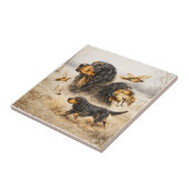 Carreau Setter Gordon (Côté)