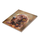 Carreau Setter irlandais (Côté)