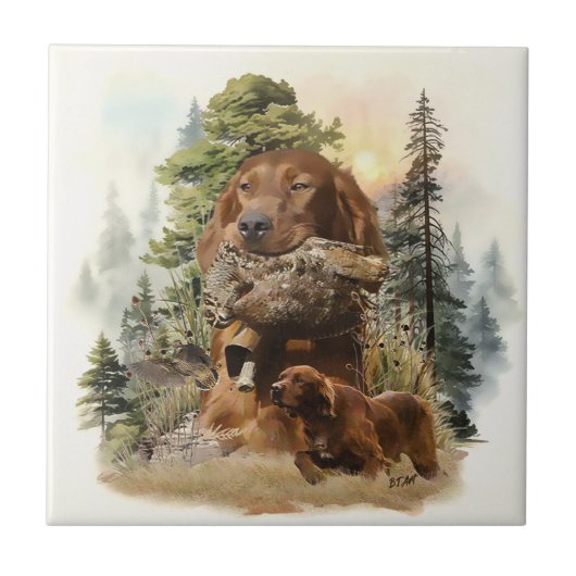 Carreau Setter irlandais, Chasse à la bécasse, Art (Devant)