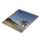 Carreau Seychelles, île Mahe, palmier horizontal, (Côté)