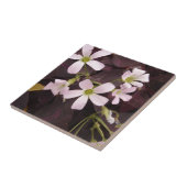 Carreau Shamrock faux Oxalis Triangularis (Côté)