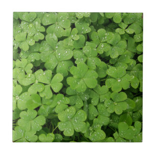 Carreau Shamrock vert frais, veine de St. Patricks