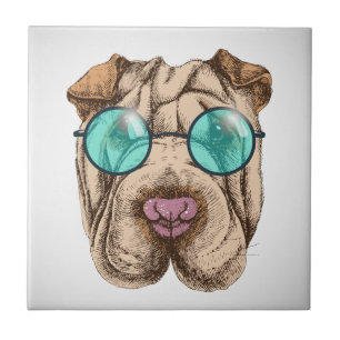 Carreau Sharpei dans les lunettes de soleil