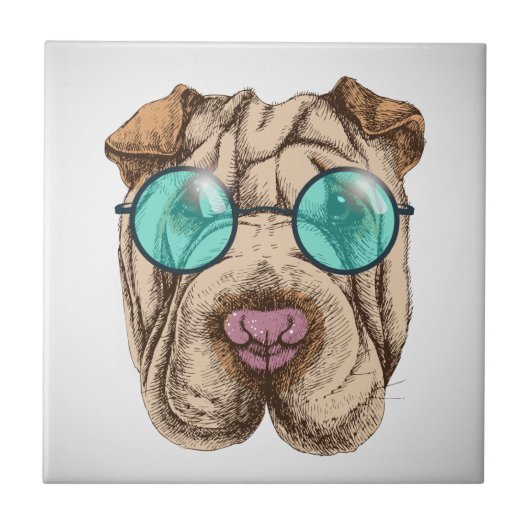Carreau Sharpei dans les lunettes de soleil (Devant)