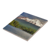 CARREAU SHASTA DE LA TA DE LAC SISKIYOU (Côté)