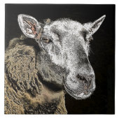 CARREAU SHEEP (Devant)