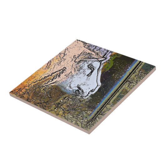 CARREAU SHEEP (Côté)