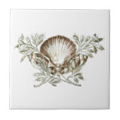 Carreau Shell blanc (Devant)