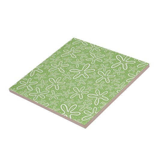 Carreau Shell modèlent sur l'arrière - plan repéré (Côté)