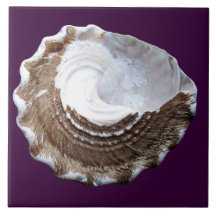 Shell simple couvrent de tuiles