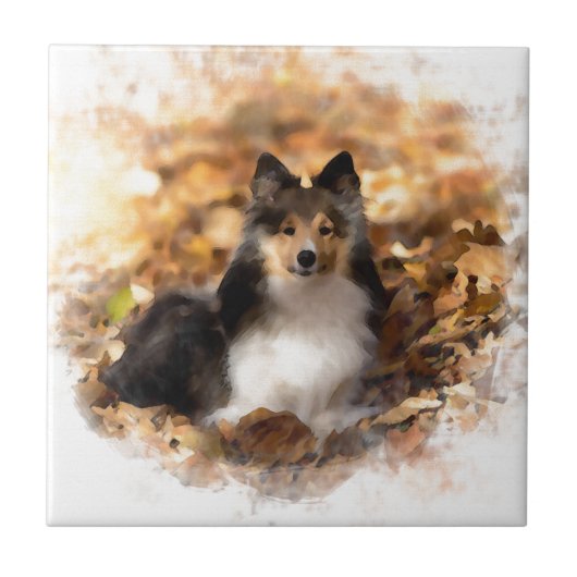 Carreau Sheltie Shetland Sheepdog Art Peinture (Devant)