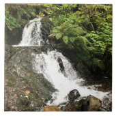 Carreau Sheppherd's Dell Falls (Devant)