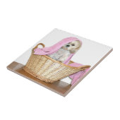 Carreau Shih Tzu dans le panier de blanchisserie (Côté)