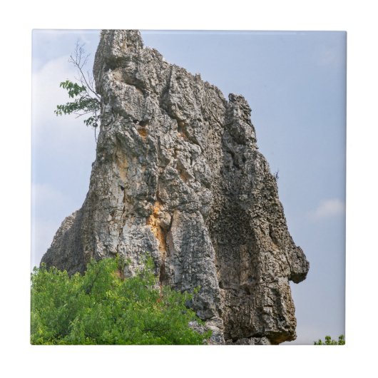 Carreau Shilin pinnacles Forêt de pierre - Yunnan, Chine, (Devant)