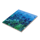 Carreau Shoal of Blue Discus Fish (Côté)