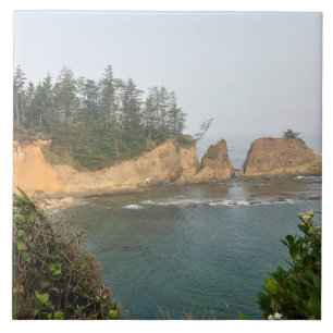 Carreau Shores Acres State Park, Oregon Coast