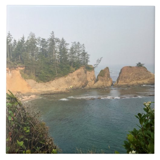 Carreau Shores Acres State Park, Oregon Coast (Devant)