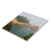 Carreau Shores Acres State Park, Oregon Coast (Côté)