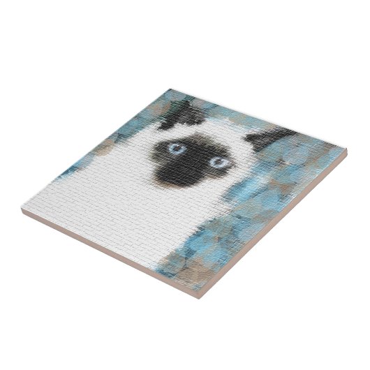 Carreau Siamais (Côté)