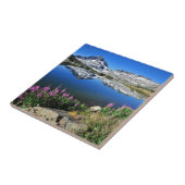 Carreau Sierra orientale montagnes (Côté)