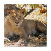 Carreau Siesta Time (Devant)