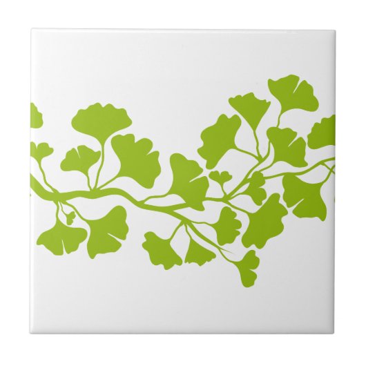 Carreau silhouette d'arbre de ginkgo avec le feuille vert (Devant)