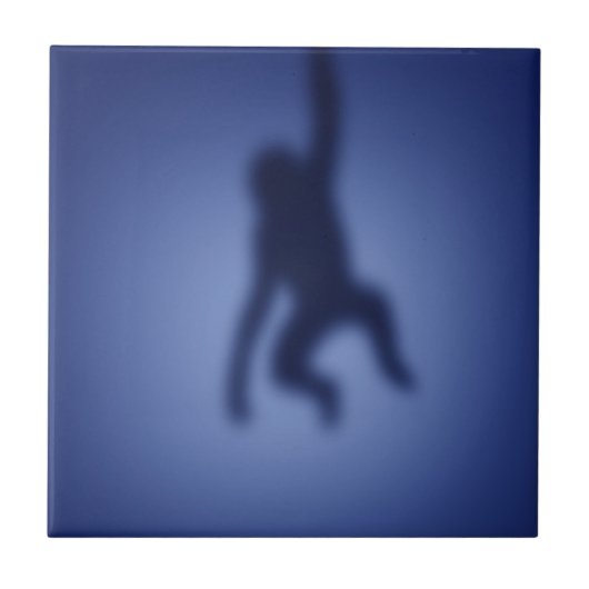 Carreau Silhouette de singe (Devant)