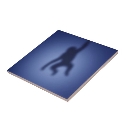 Carreau Silhouette de singe (Côté)