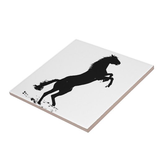 Carreau Silhouette du cheval d'élevage (Côté)