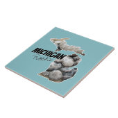 Carreau Silhouette Michigan Remplie De Pierres Petoskey (Côté)