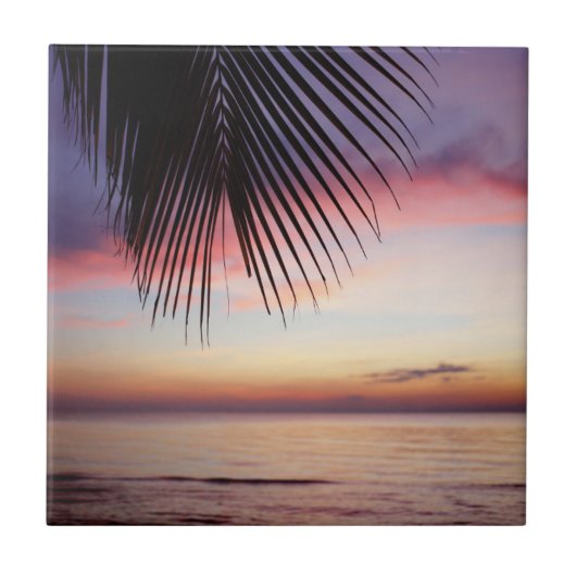 Carreau Silhouette tropicale de palmier de plage pourpre (Devant)