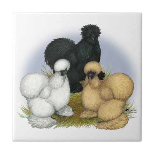 Carreau Silkie Trio (Devant)