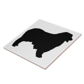 Carreau Silo de berger australien (Côté)