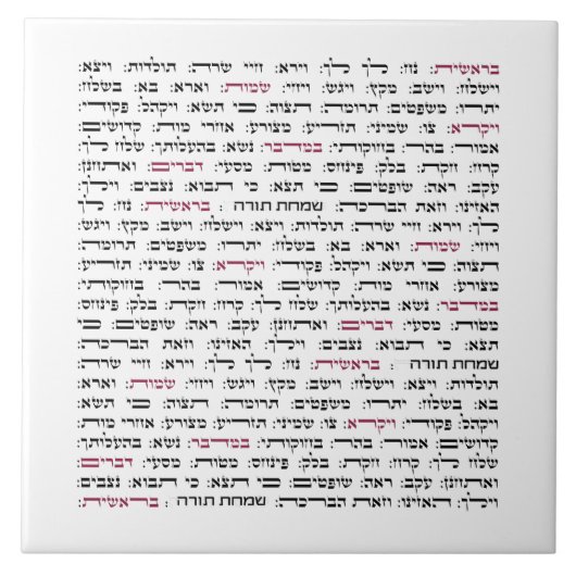 Carreau Simchat Torah - Hebrew Parshiot Cycle juif (Devant)