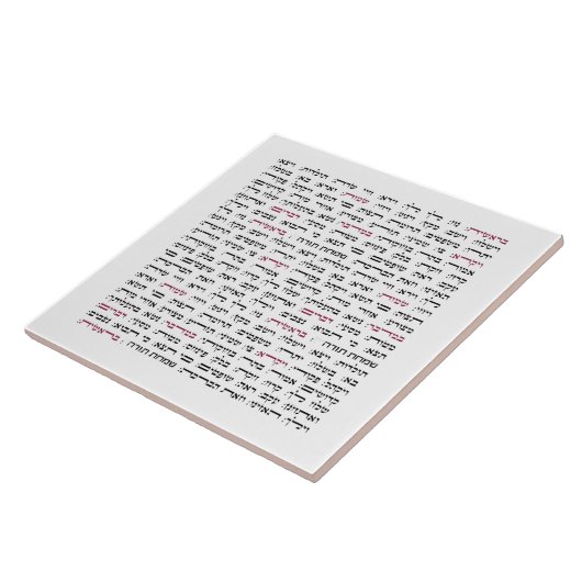 Carreau Simchat Torah - Hebrew Parshiot Cycle juif (Côté)