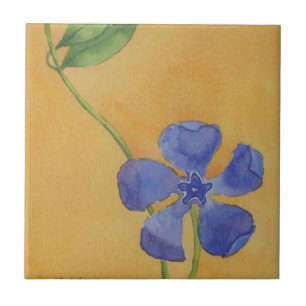 Carreau "Simply Vinca" Cuisine Jardin Carrelage céramique