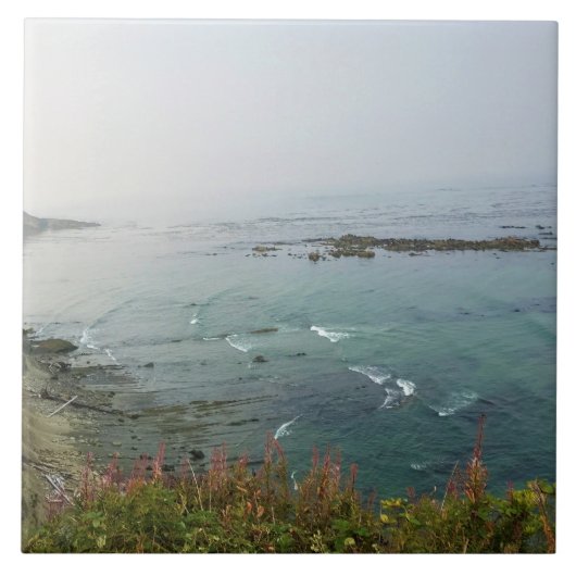 Carreau Simpson Reef Overlook, Oregon Coast (Devant)