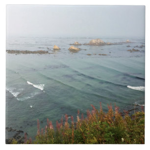 Carreau Simpson Reef Overlook, Oregon Coast