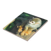 Carreau Singe araignée (Côté)