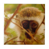 Carreau Singe Cheeky. (Devant)