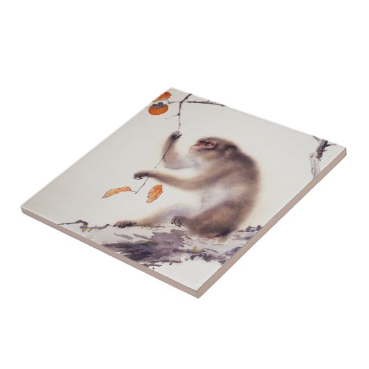 Carreau Singe dans un arbre de kaki (Côté)