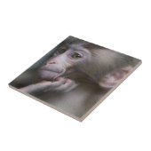 Carreau Singe de bébé (Côté)