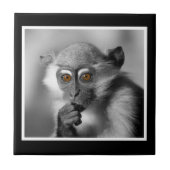 Carreau Singe de Mangabey de bébé (Devant)