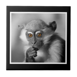 Carreau Singe de Mangabey de bébé