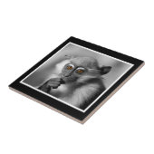 Carreau Singe de Mangabey de bébé (Côté)