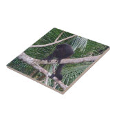 Carreau Singe d'hurleur et singe de bébé en jungle du (Côté)