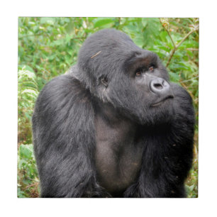 Carreau Singe heureux