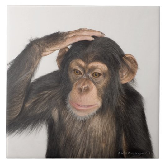 Carreau Singe rayant sa tête (Devant)